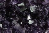 Dark Purple, Amethyst Crystal Cluster - Uruguay #123809-1